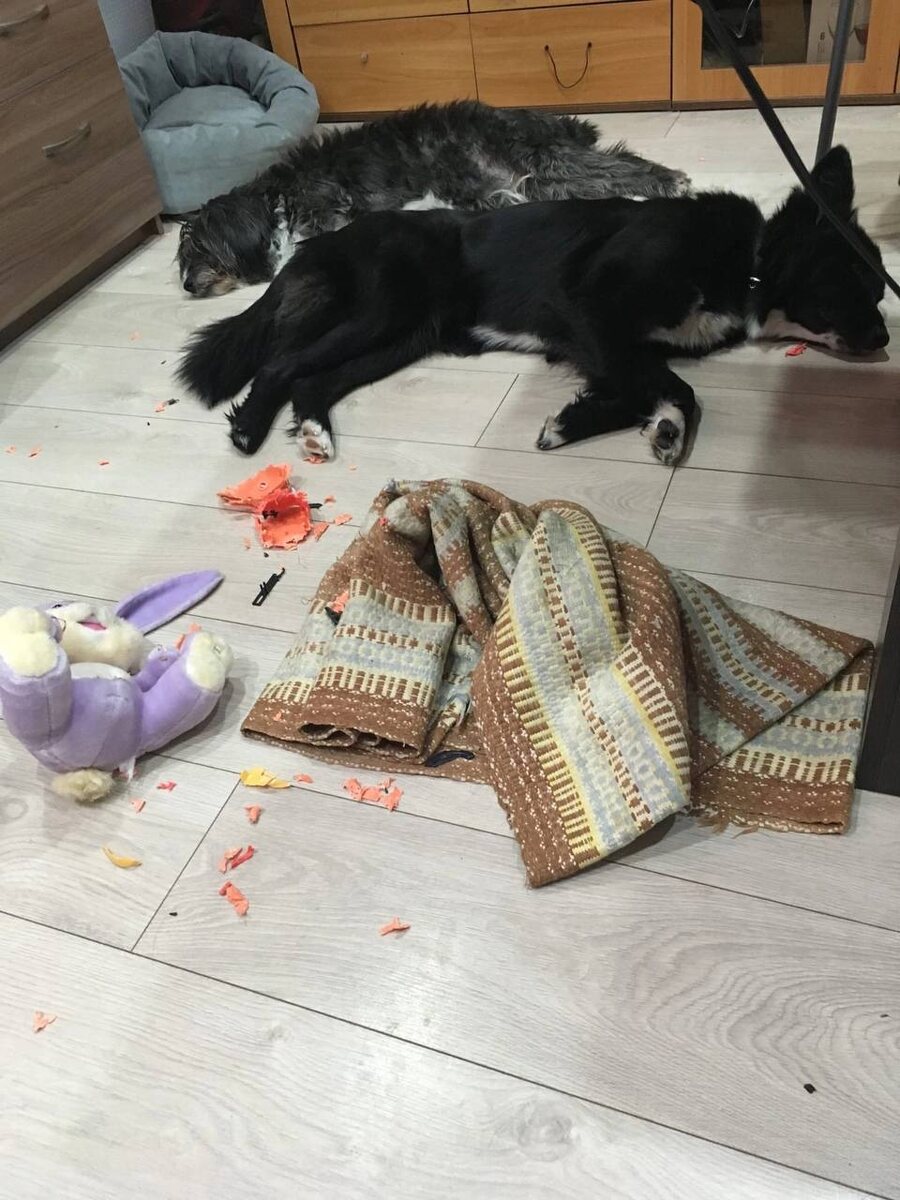 Наигрались...