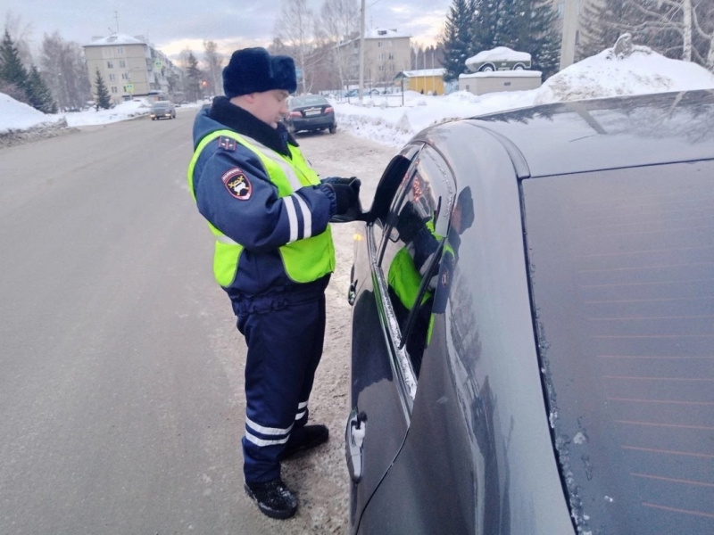 Фото: Пресс-служба ГУ МВД России по Челябинской области