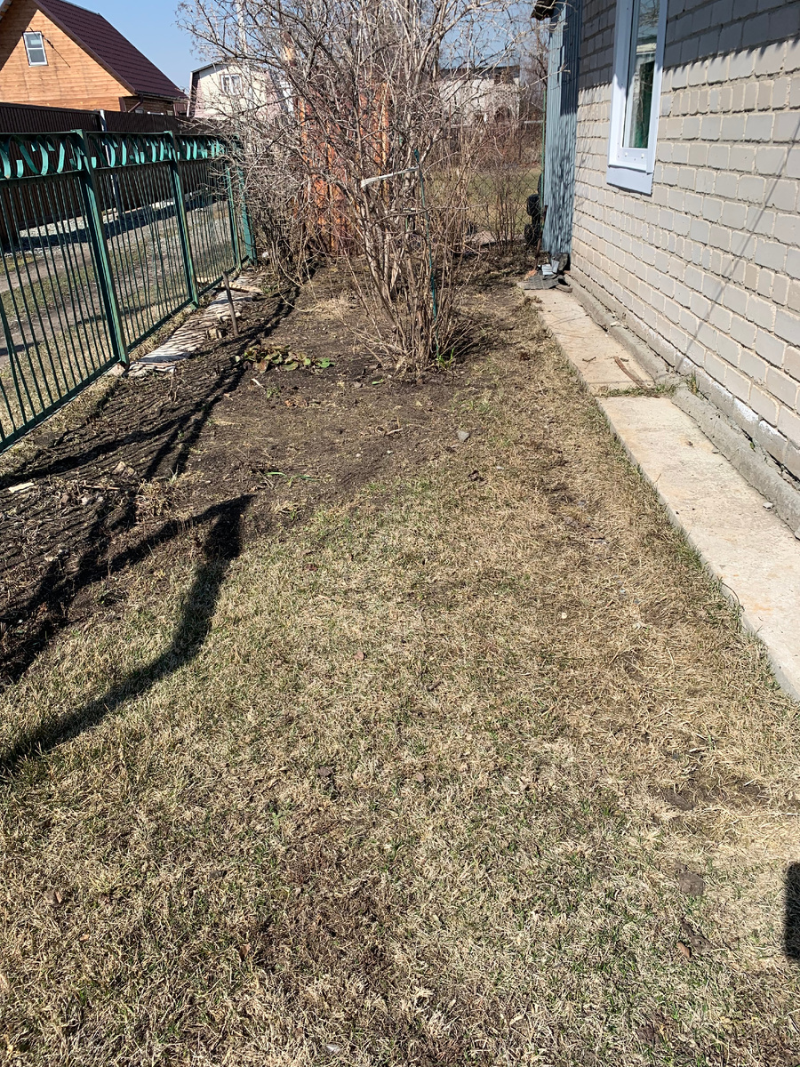 сад, все фото автора