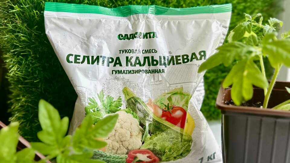 Польза селитры кальциевой для рассады томатов ⤵️