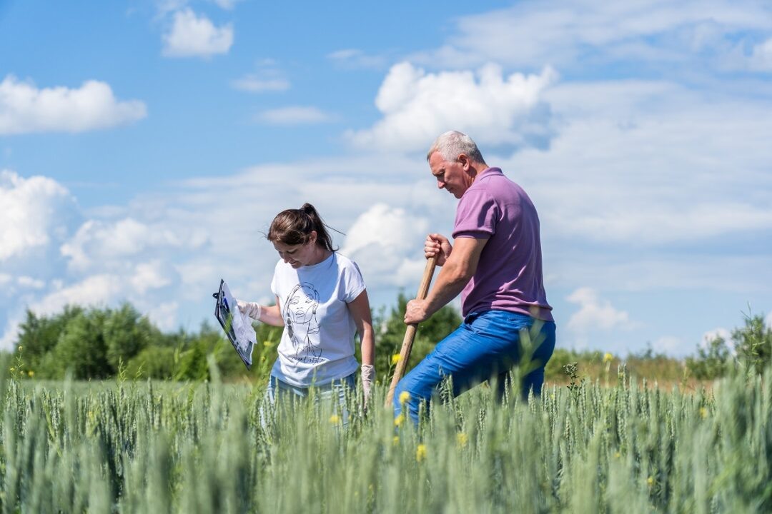 Фото: Александр Плонский / «Агроэксперт»