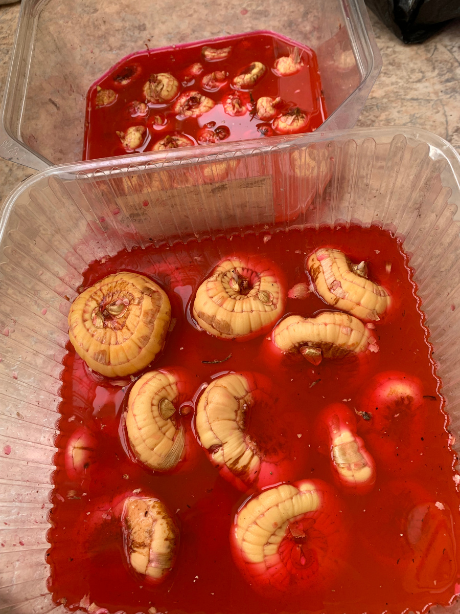 гладиолусы, все фото автора.