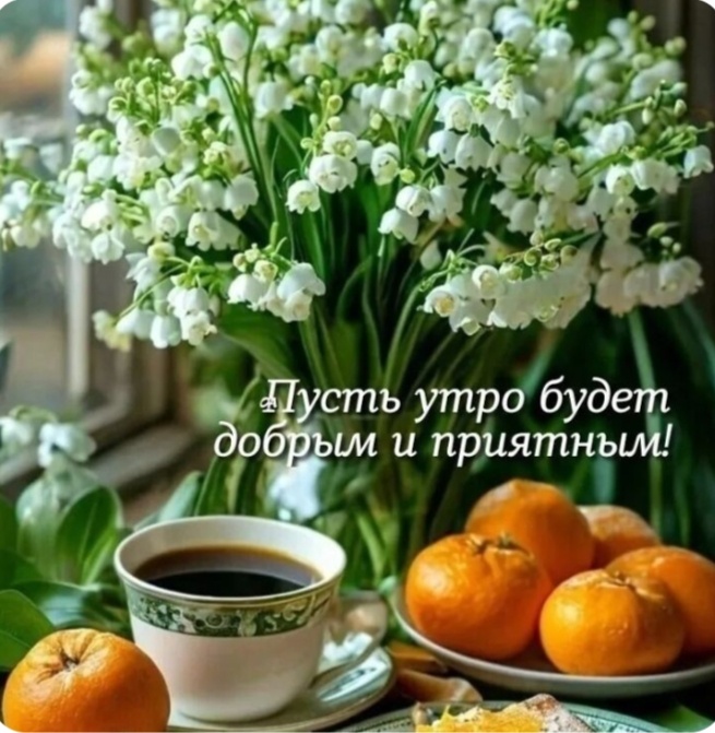 Фото из интернета.