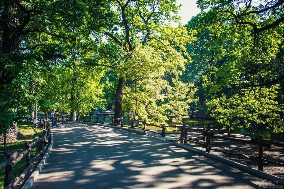 Из открытого доступа