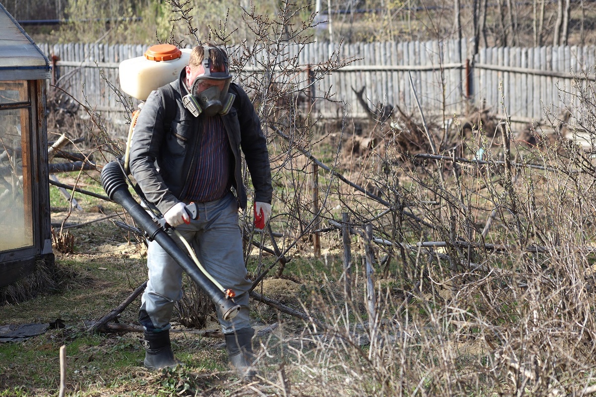 Во избежание травм спины на даче нужно отдыхать раз в полчаса.  Фото: ФедералПресс / Елена Майорова