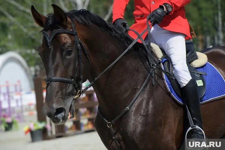 Женщина около 45-ти лет занималась тренерской деятельностью. Фото: Владимир Жабриков © URA.RU