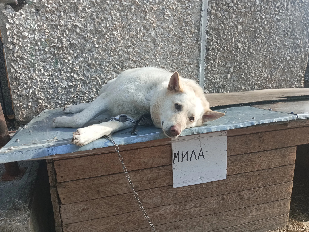 "Что это было?"