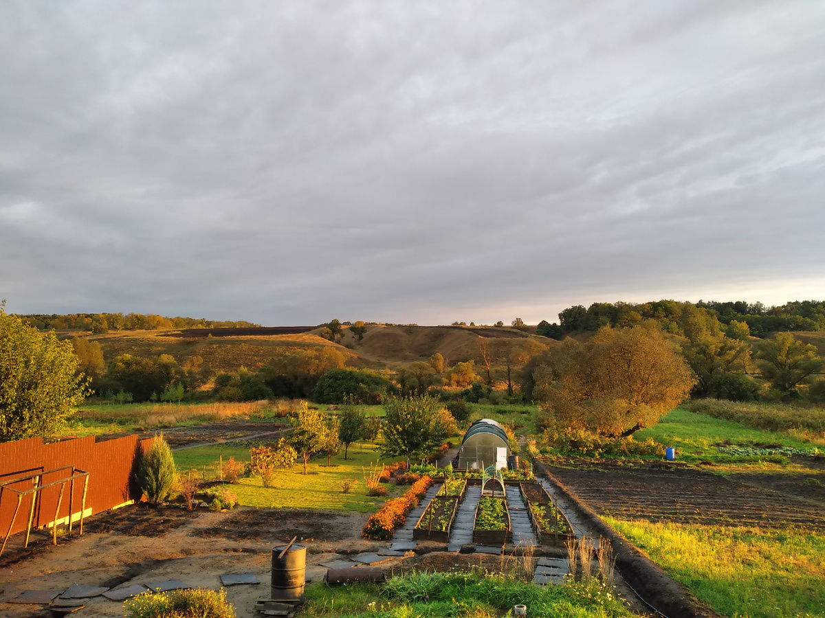 Это вид из моего окна в гостинной. Съёмка была вечером после дождя. (фото автора)