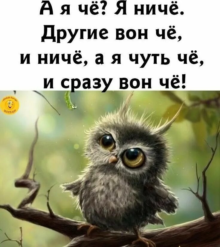 Взято из открытых источников. 