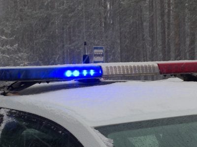    Фото: ГТРК Карелия