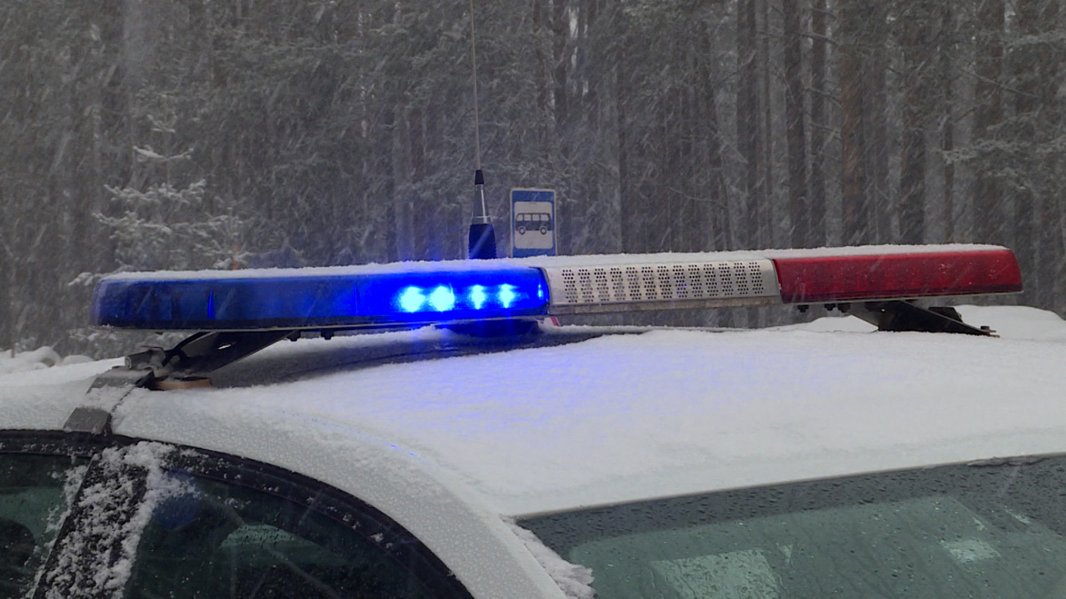    Фото: ГТРК Карелия