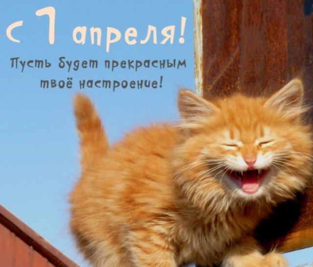 фото: ru.pinterest.com