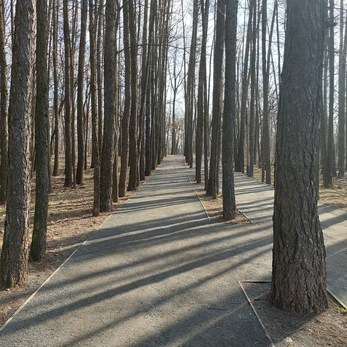 Фото автора.