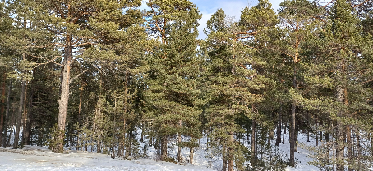 -3