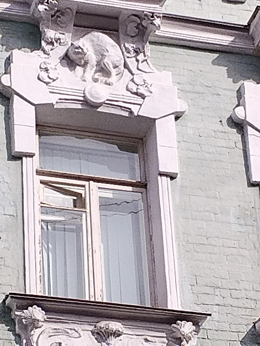 Одна штука крупным планом