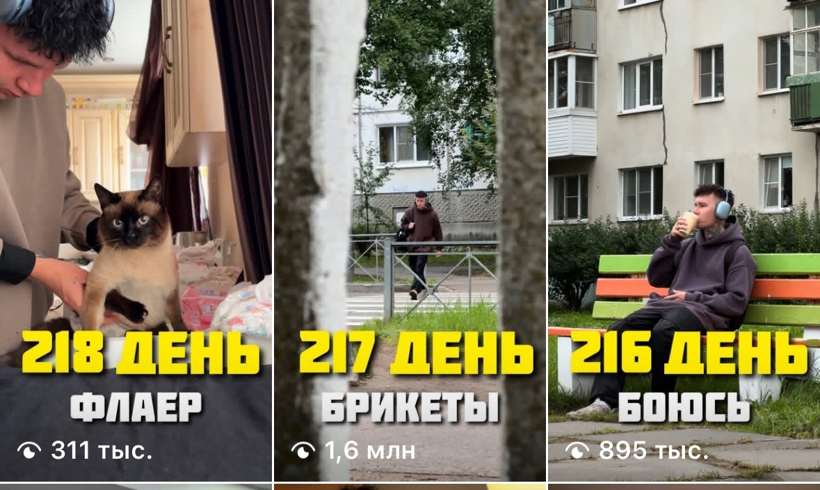 За три дня я набрал почти 3.000.000 просмотров. Это принесло рекламодателей за следующие 9 месяцев