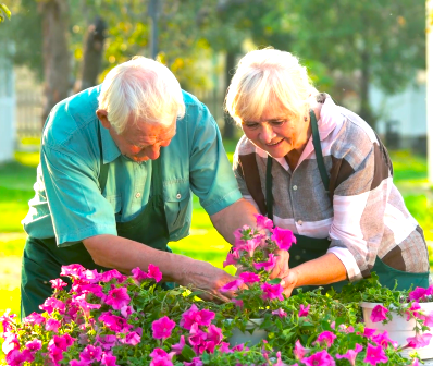 Из свободных источников