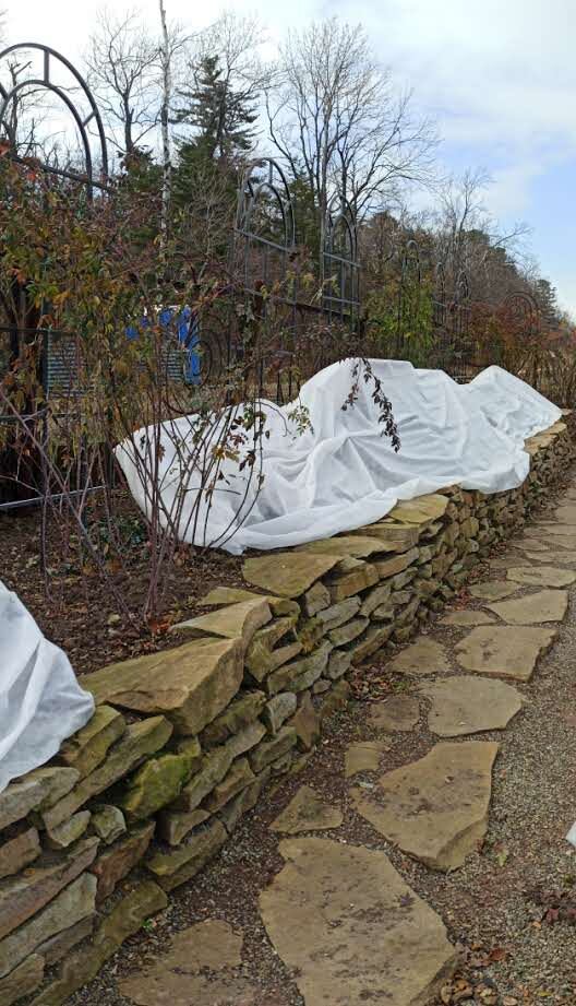 Агротекс в комплексе укрытия роз