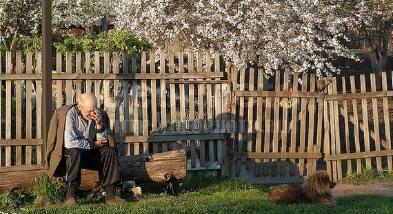 фото яндекса