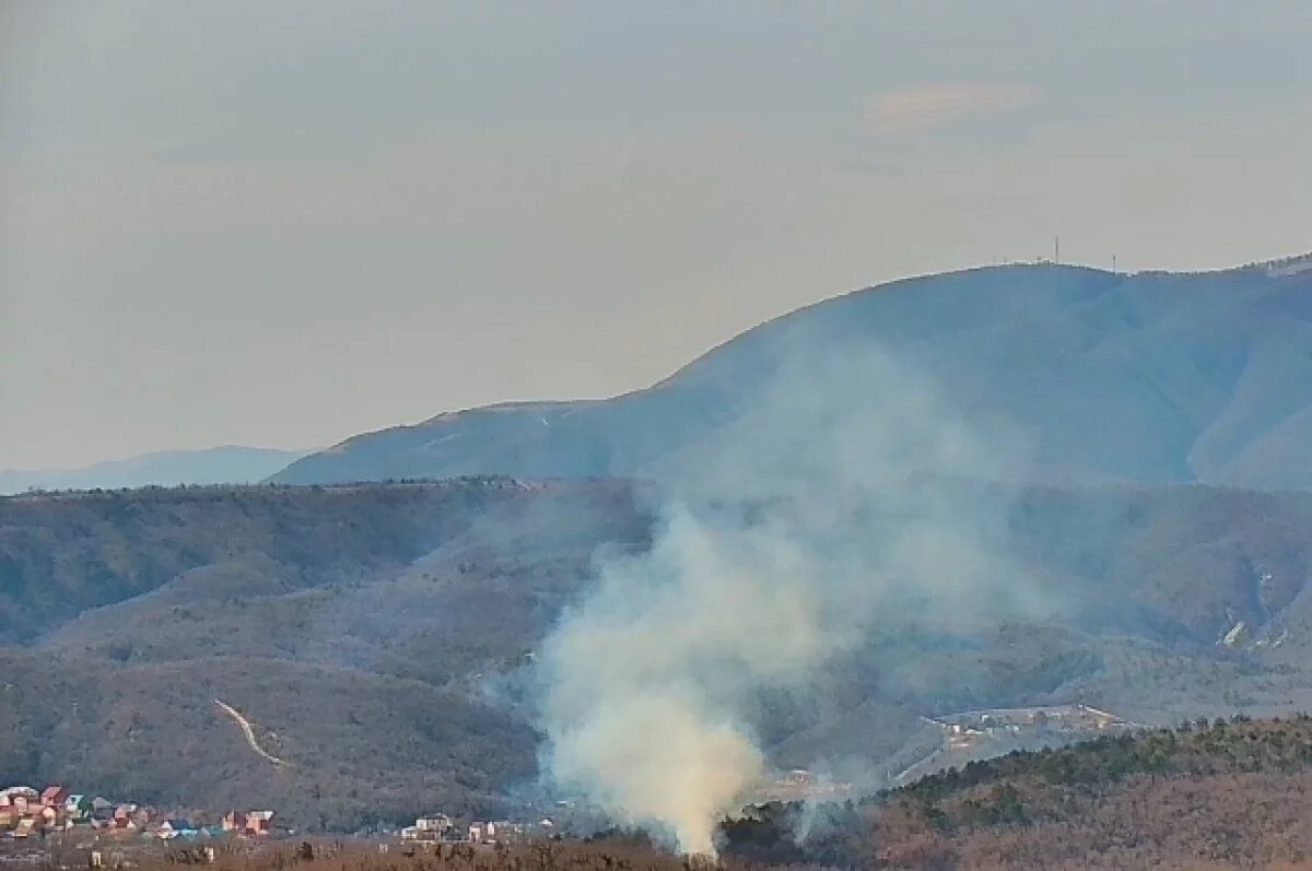    В Краснодарском крае ущерб окружающей среде составил 2,9 млрд рублей