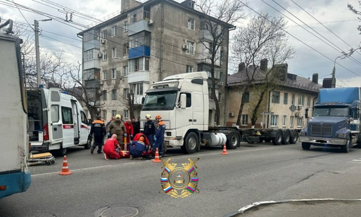    Фото t.me/gibdd123region