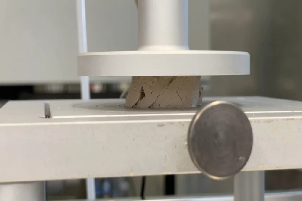     Фото: Max Planck Institute for Polymer Research С помощью реологии измеряют и сравнивают механические свойства настоящей фуа-гра и фуа-гра, произведенного учеными.