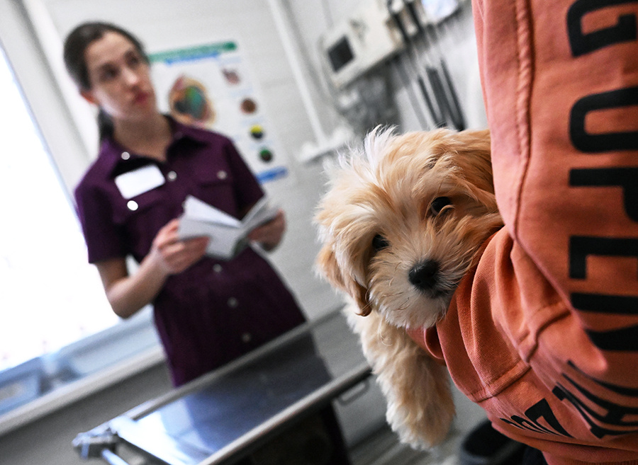    © Виталий Аньков/РИА Новости