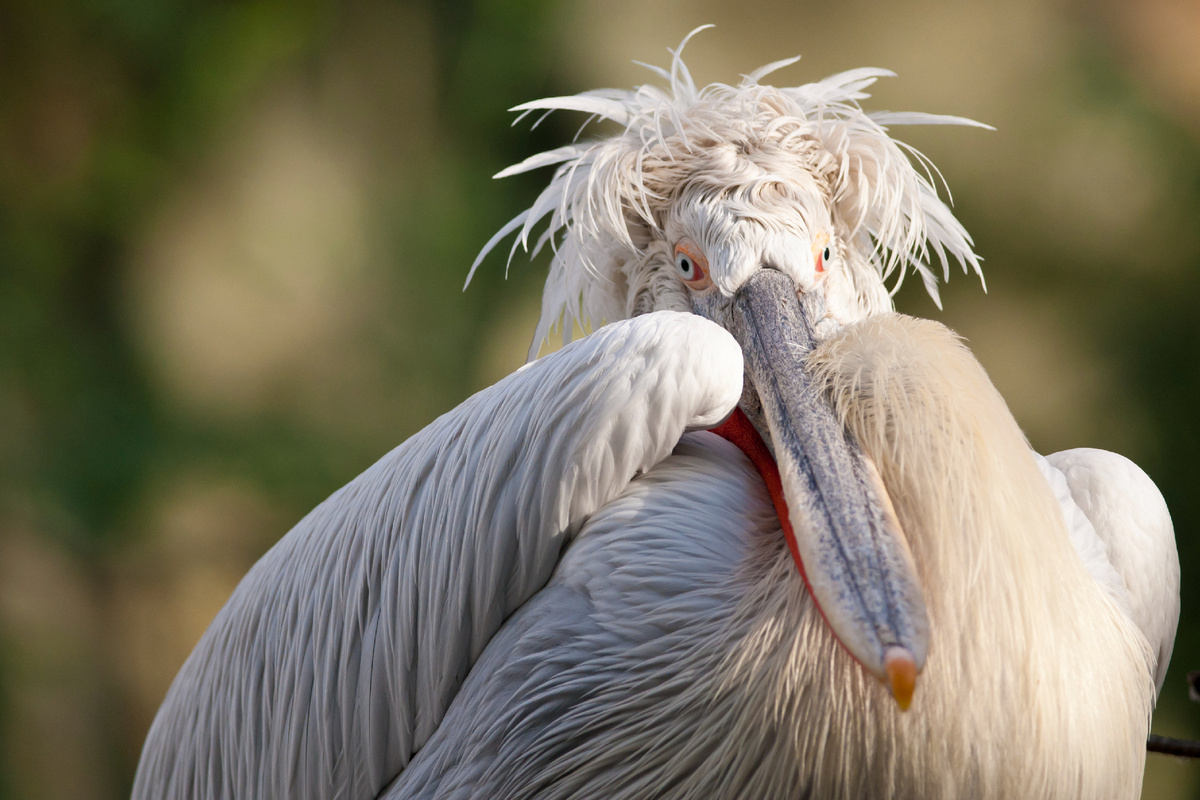 shurub/istock 