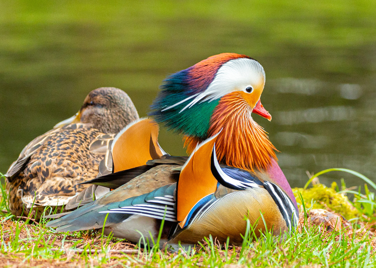 fluffandshutter/istock
