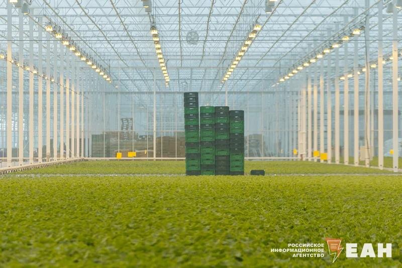    Архивное фото ЕАН