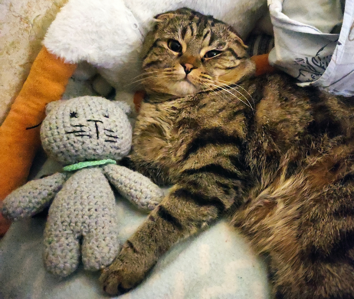 Аллергия? Не, не слышал 