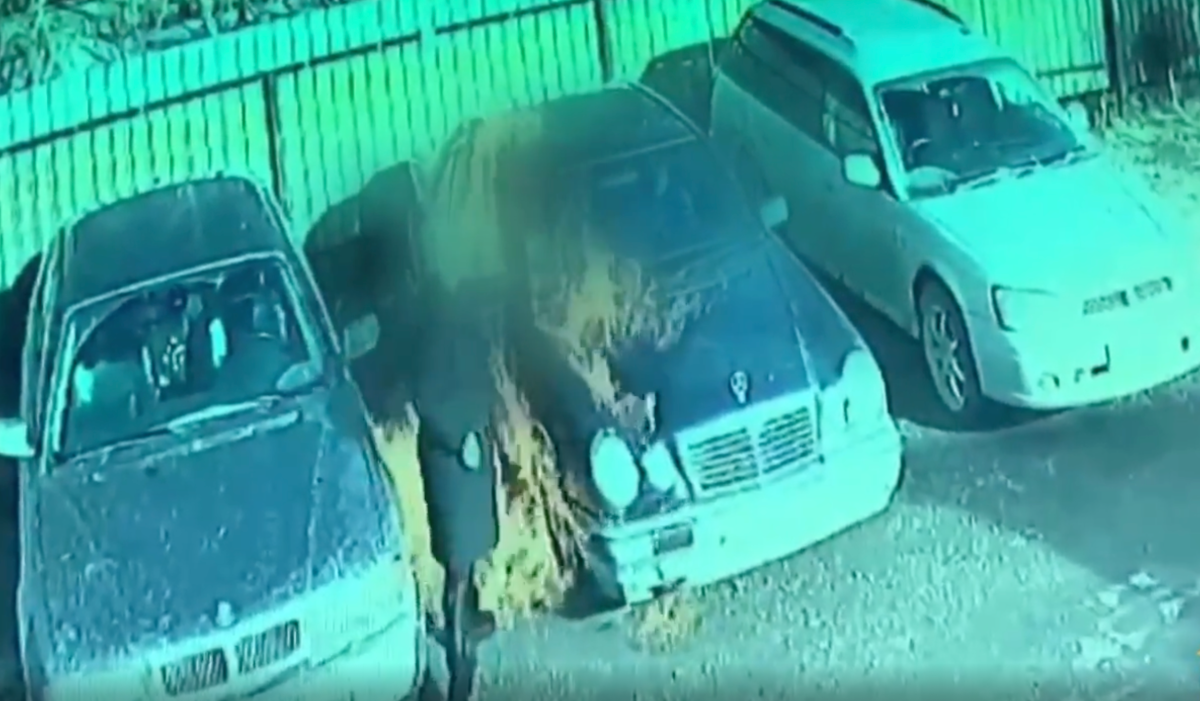     Момент поджога машины. Источник: nsktv.ru Автор фото: ГУ МВД России по Новосибирской области