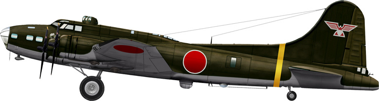 В Японии были восстановлены и летали три B-17 - два B-17E и один B-17D.