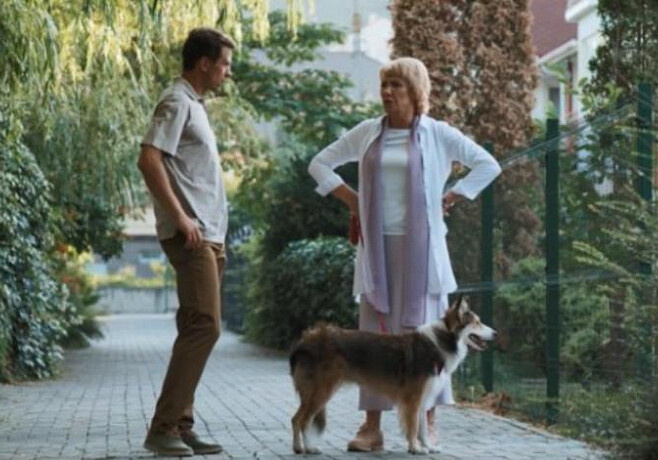 сериал "Дама с собачкой 3".   2024г