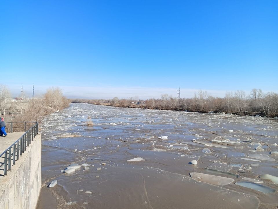    Река Алей в Рубцовске . Источник: Максим Добровольский, "Местное время" / rubtsovskmv.ru