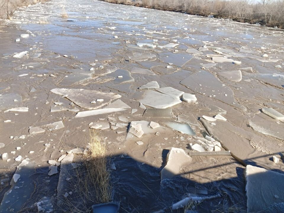    Река Алей в Рубцовске . Источник: Максим Добровольский, "Местное время" / rubtsovskmv.ru