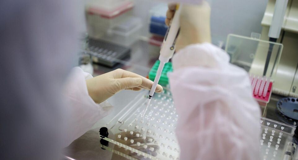    РИА «Новости»