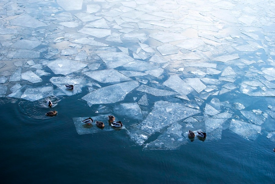 Источник: https://img.freepik.com/premium-photo/high-angle-view-frozen-lake-winter_1048944-28568273.jpg?w=900