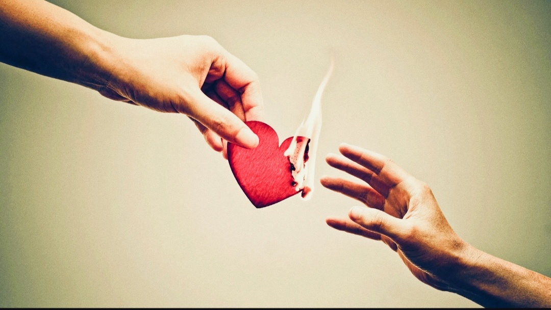 Фотоизображение взято из открытых интернет источников