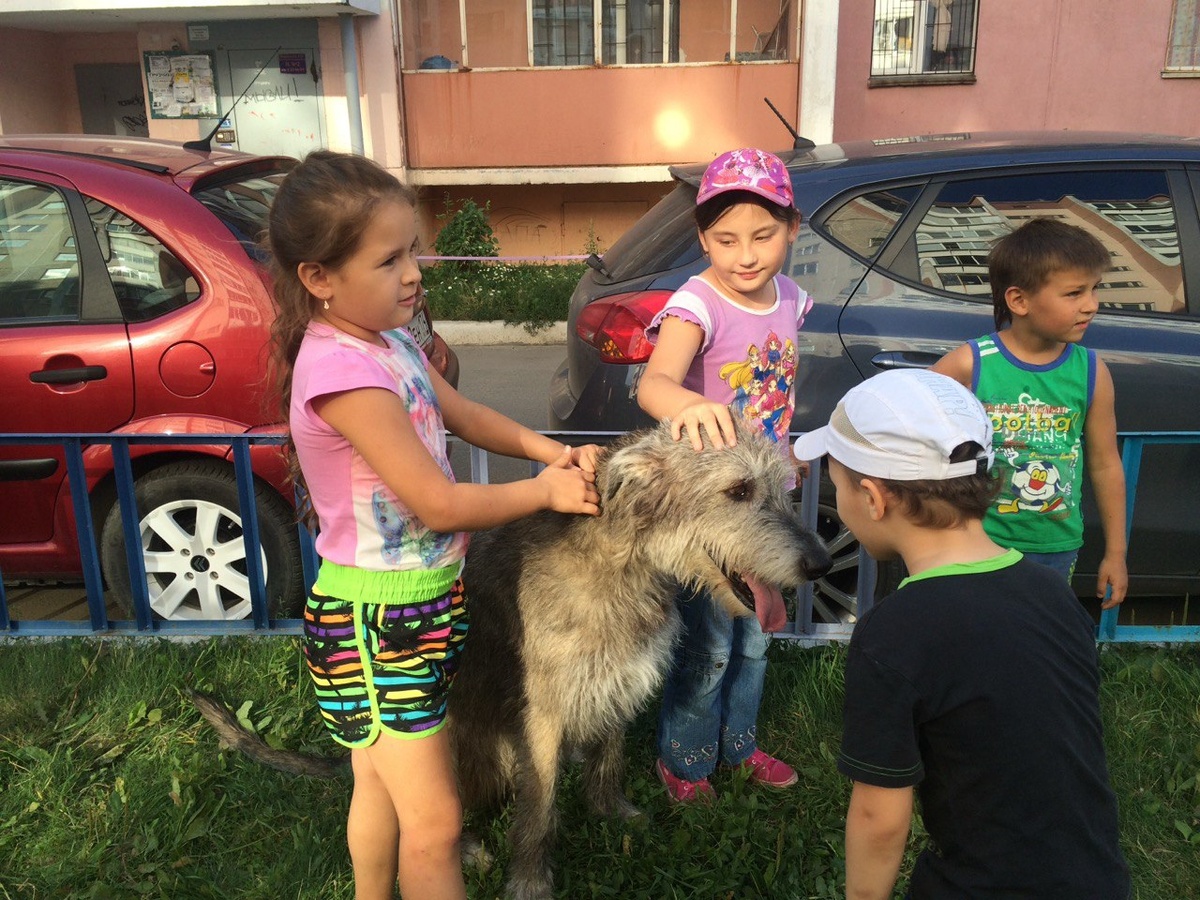 Дети играют во дворе с собакой Аськой.  Фото: Фото: ФедералПресс / Ирина Юзеева