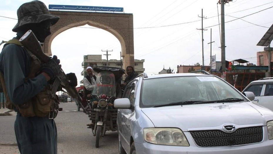    Автор фото: Global Look Press