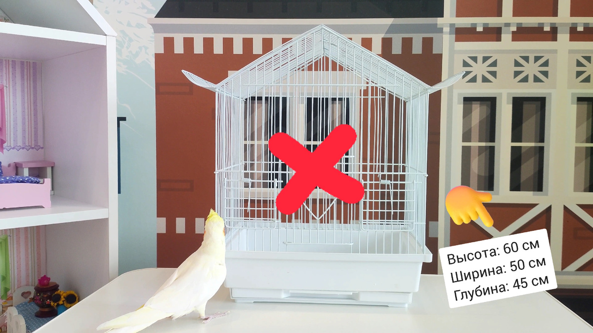 Выбери правильный домик для своего питомца