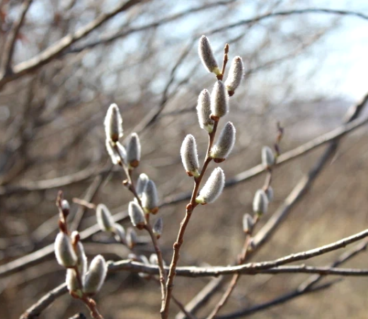 Фотографии автора. Из личного фотоархива.