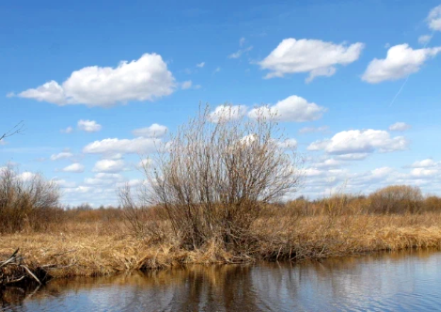 Фотографии автора. Из личного фотоархива.