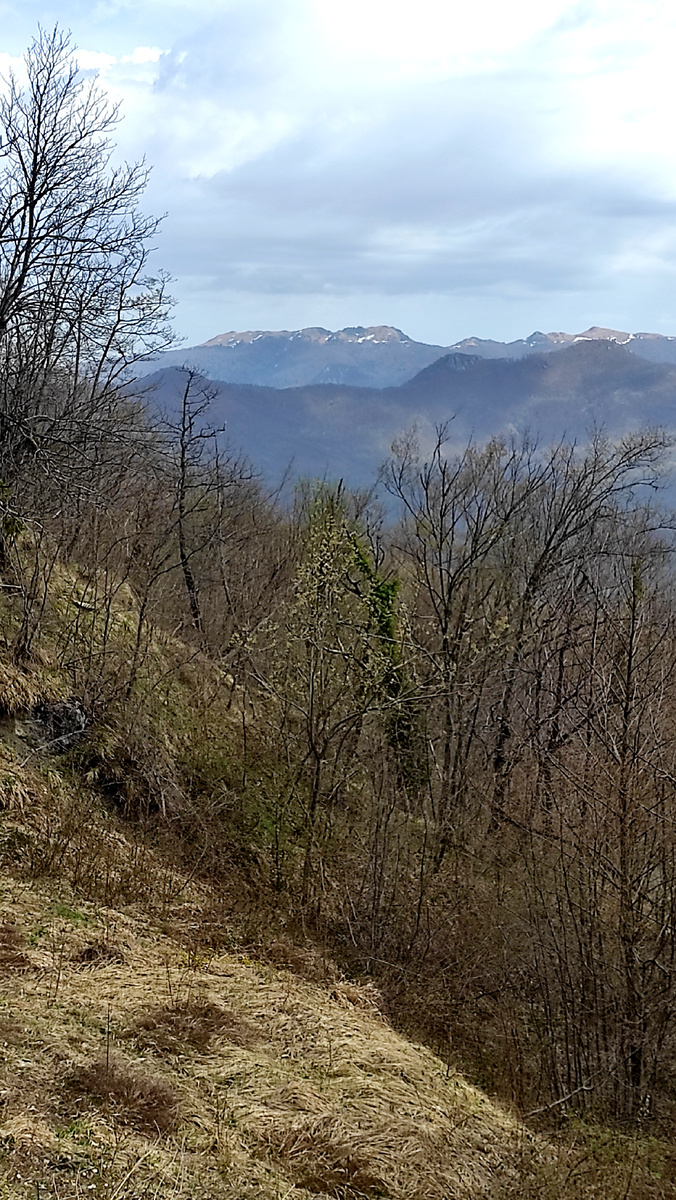 Вокруг красота