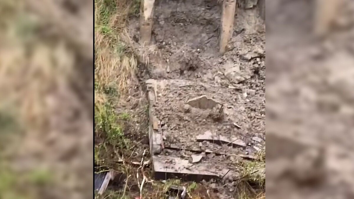    Фото: соцсети