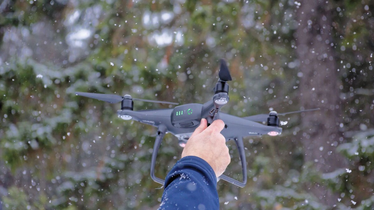    Фото: Irina Mur/Shutterstock/Fotodom