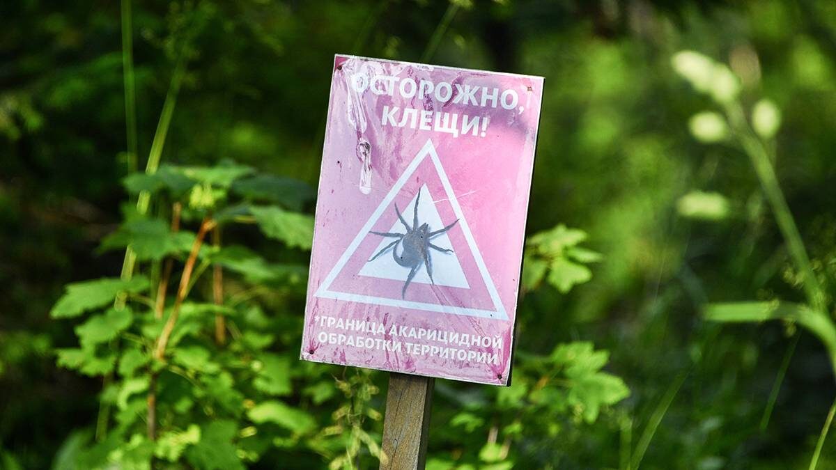    Фото: Игорь Иванко / АГН Москва