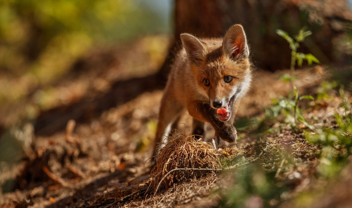 Изображение от Freepik