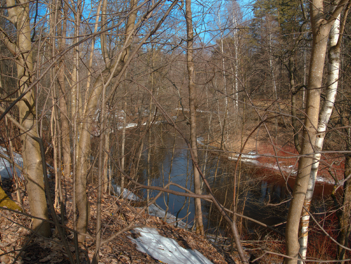 Чёрная речка